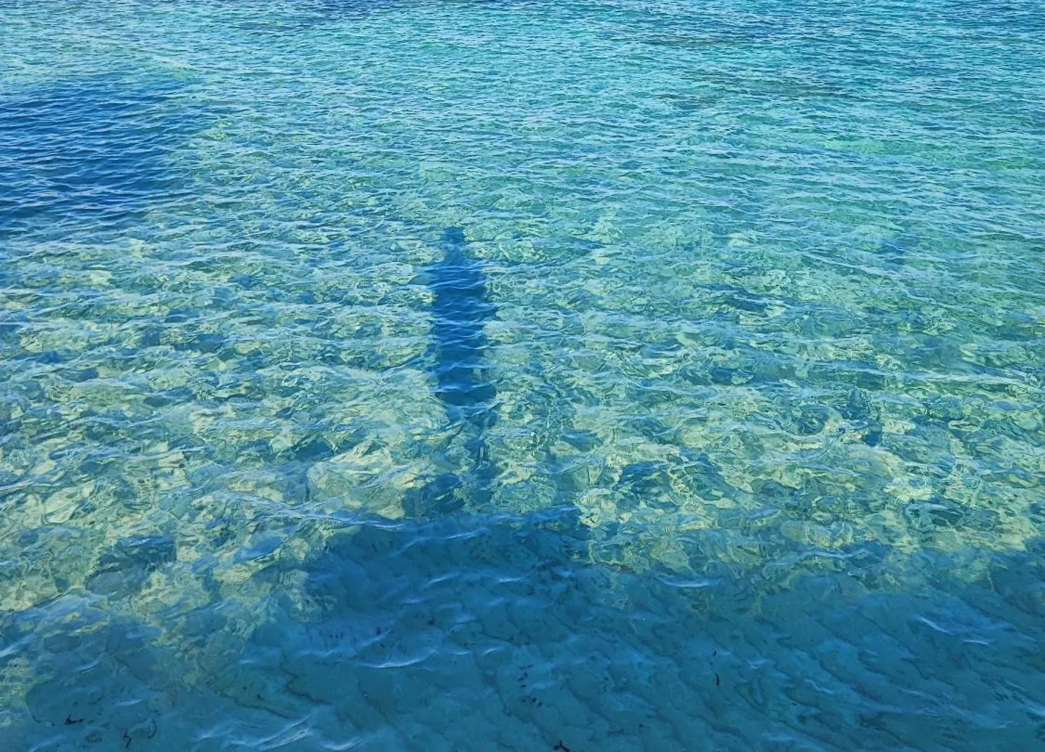 Villa Guenther Palm Village Protaras